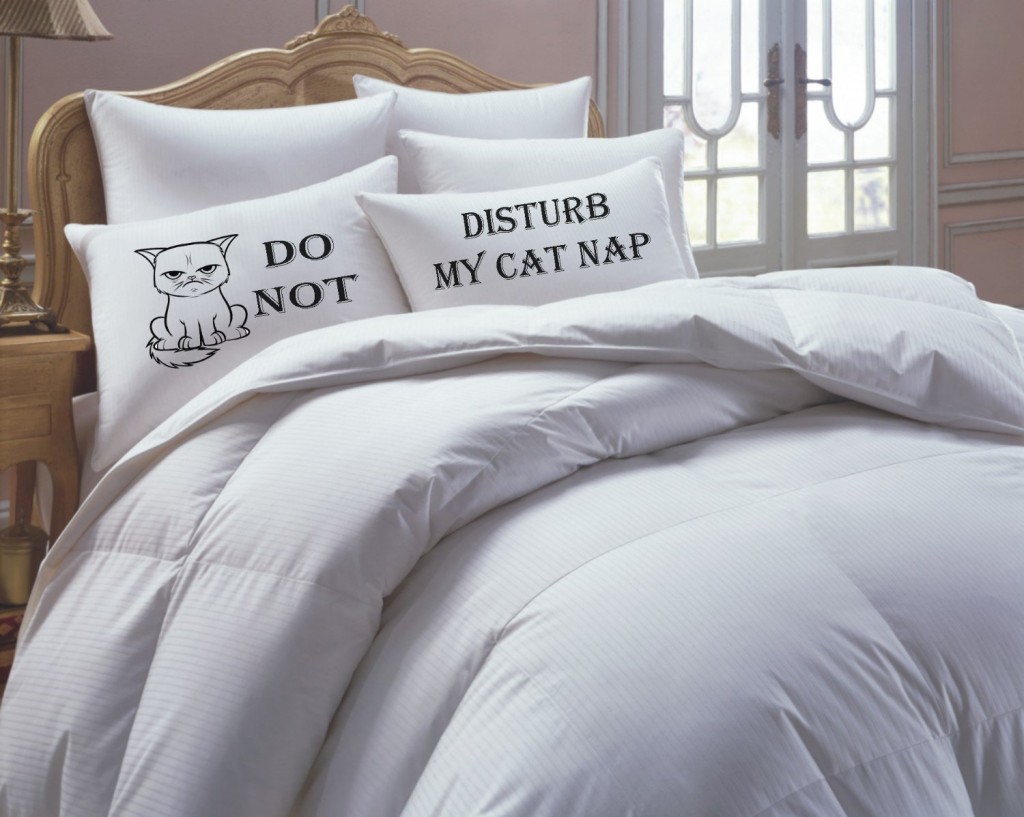 Do Not Disturb My Cat Nap
