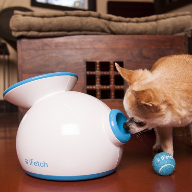 iFetch Interactive Ball Launcher