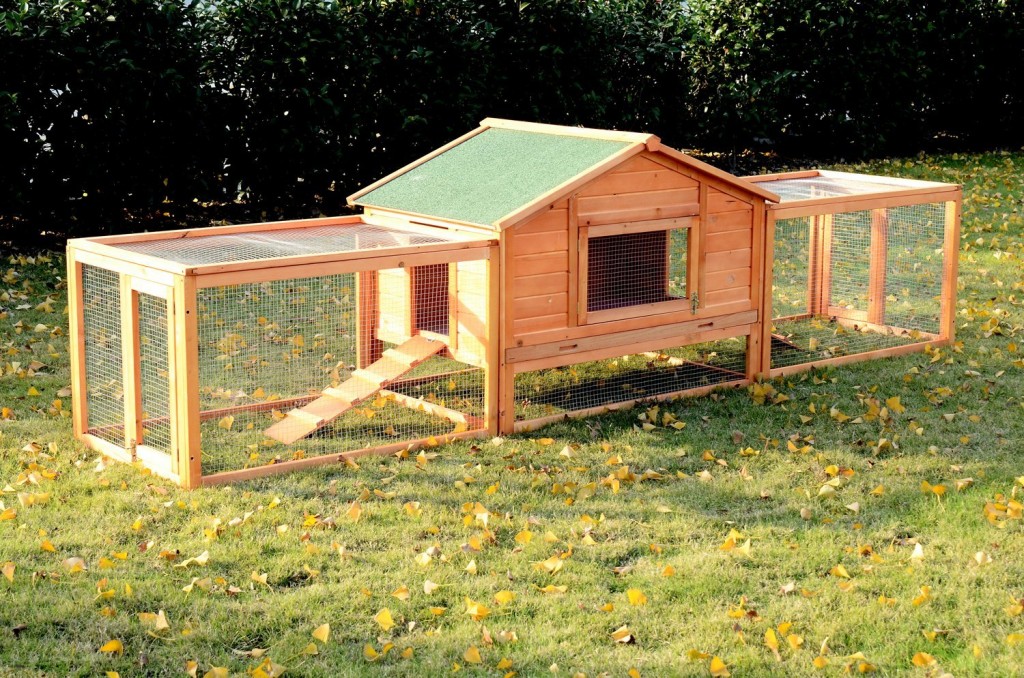 Rabbit Hutch