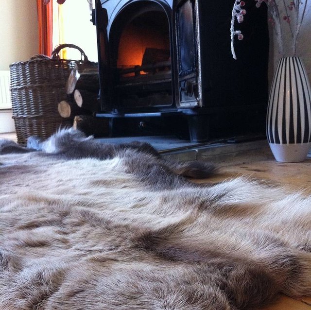 Reindeer Skin Rug