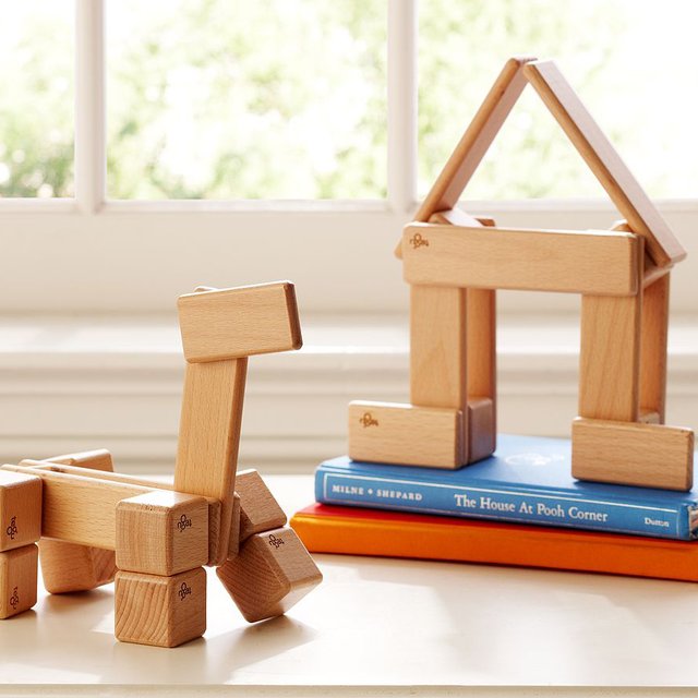 Tegu Magnetic Wood Blocks