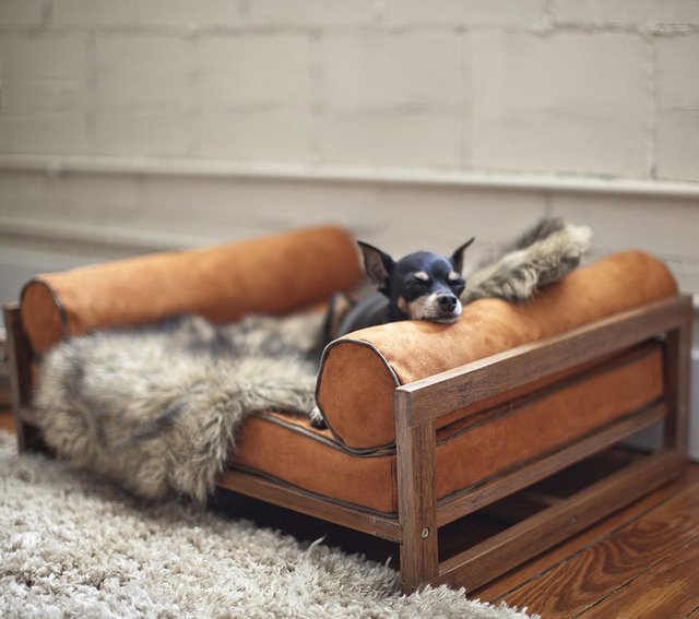 The Aldo Lounger For Pets