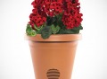 Wireless Outdoor Planter Speaker