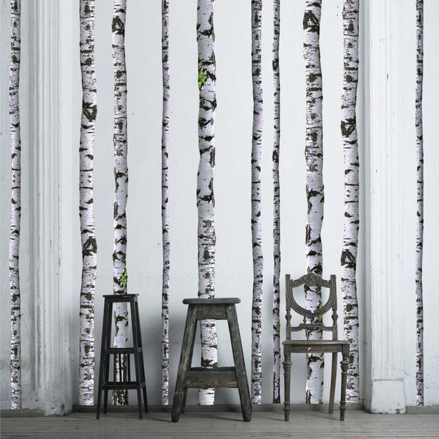 Birch Tree Decals