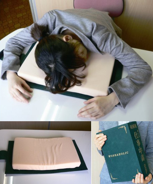 Dictionary Desk Pillow