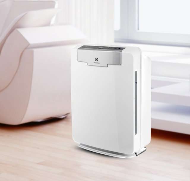 Electrolux PureOxygen HEPA Air Cleaner