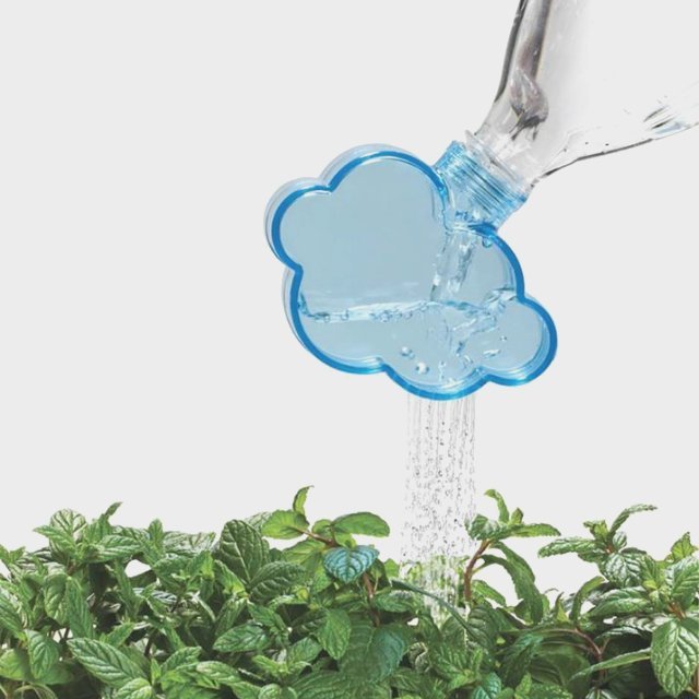 Rainmaker Watering Cap