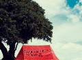 What a Melon Tent by FieldCandy