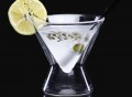 Frosted la MarTini Glass by Highwave