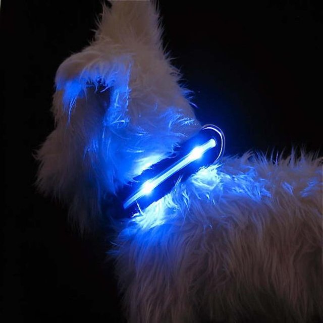 LED Lighted Dog Collars