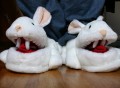 killer rabbit slippers