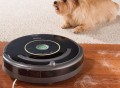 Pet Space Circumventing Roomba