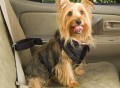 Pet Vehicle Safety Harness