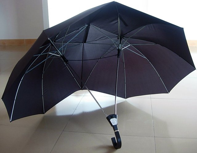 Two Person Umbrella
