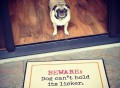 Beware: Dog Can’t Hold Licker Doormat