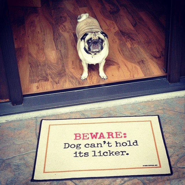 Beware: Dog Can’t Hold Licker Doormat