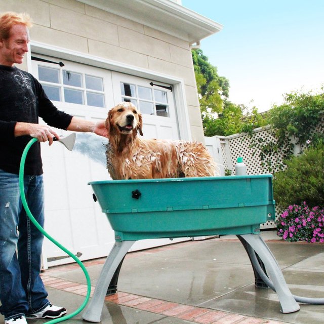 Booster Bath Elevated Dog Was