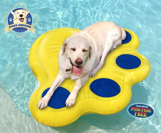 Dog Pool Float