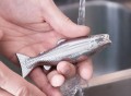 Fish Magic Soap Odor Remover