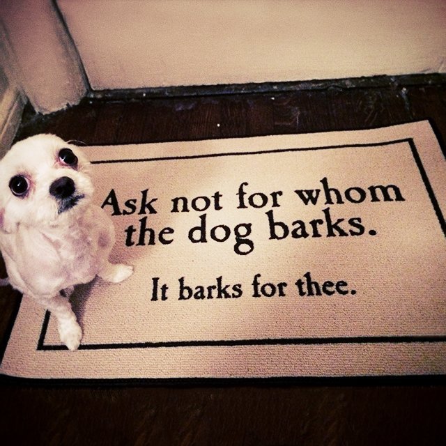 For Whom the Dog Barks Doormat