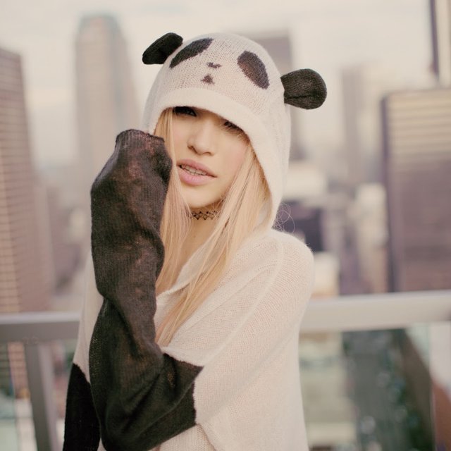 Panda Face Hooded Sweater by Wildfox