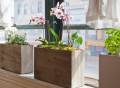 Plug-In Planter by Modern Sprout