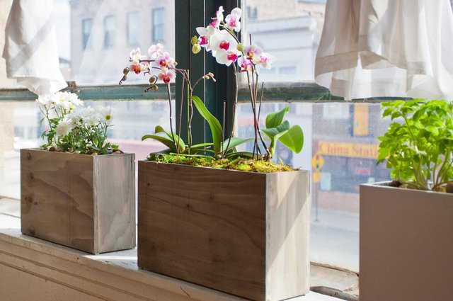 Plug-In Planter by Modern Sprout