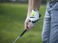 Zepp Golf 3D Training System