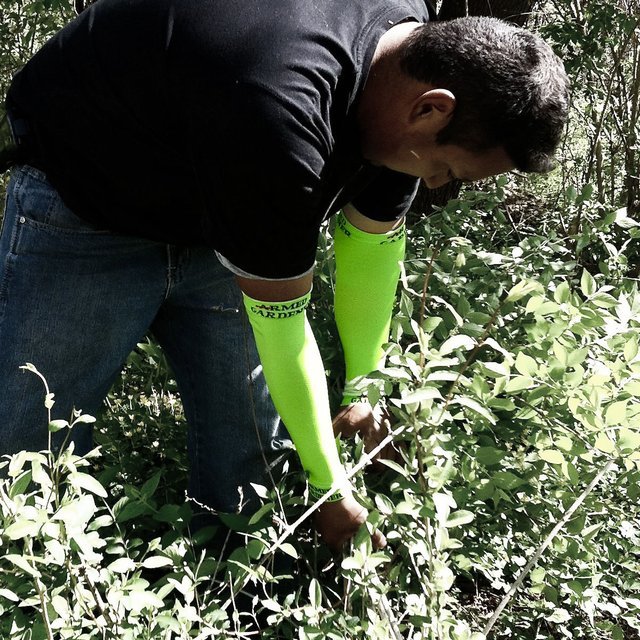 Armed Gardener Sleeves