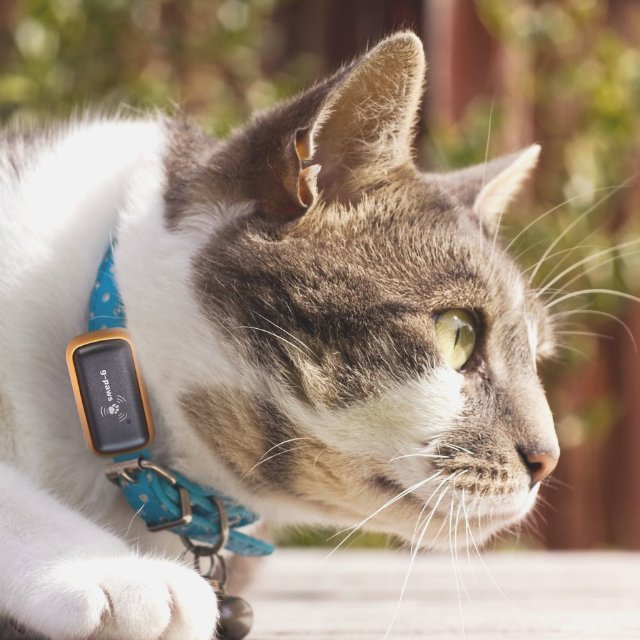 G-Paws Pet GPS Tracker