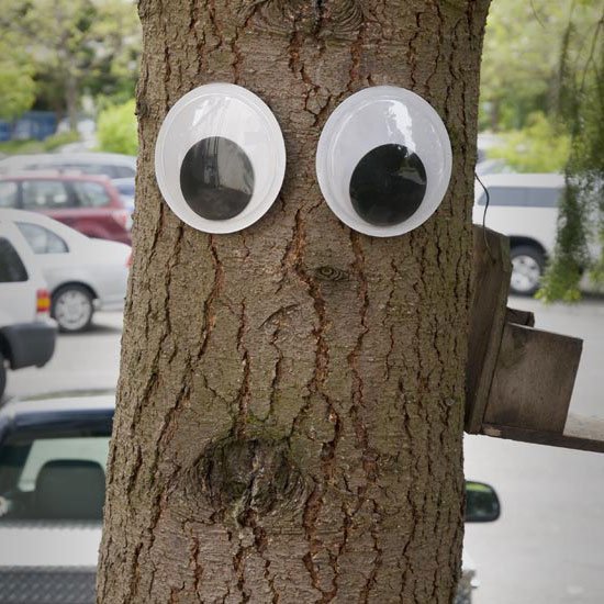 Giant Googly Eyes