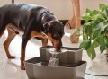 Multi-Tier Pet Fountain