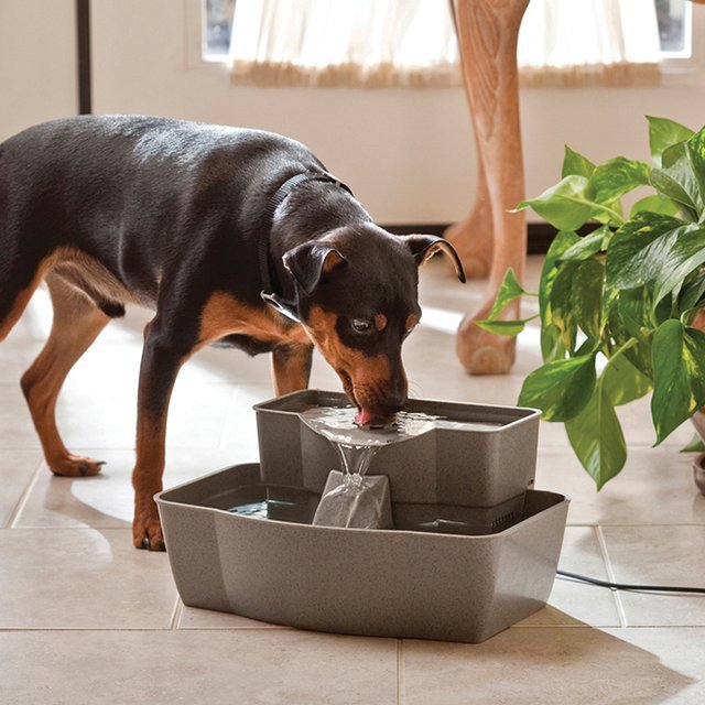 Multi-Tier Pet Fountain