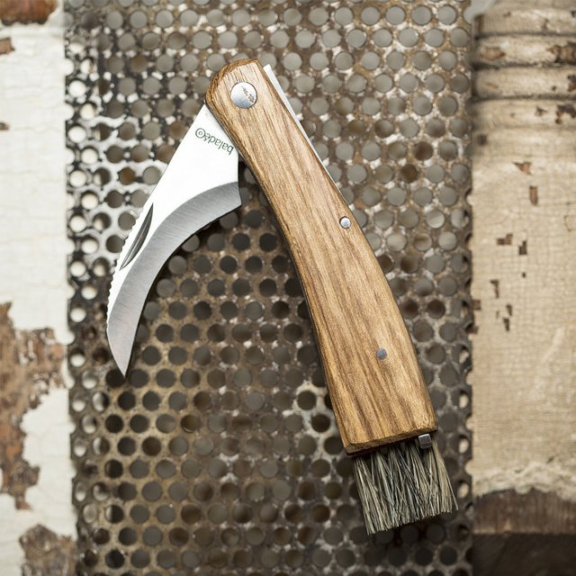 Mushroom Foraging Knife