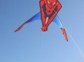 Spider-Man Kite