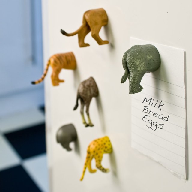 Animal Tail Magnets