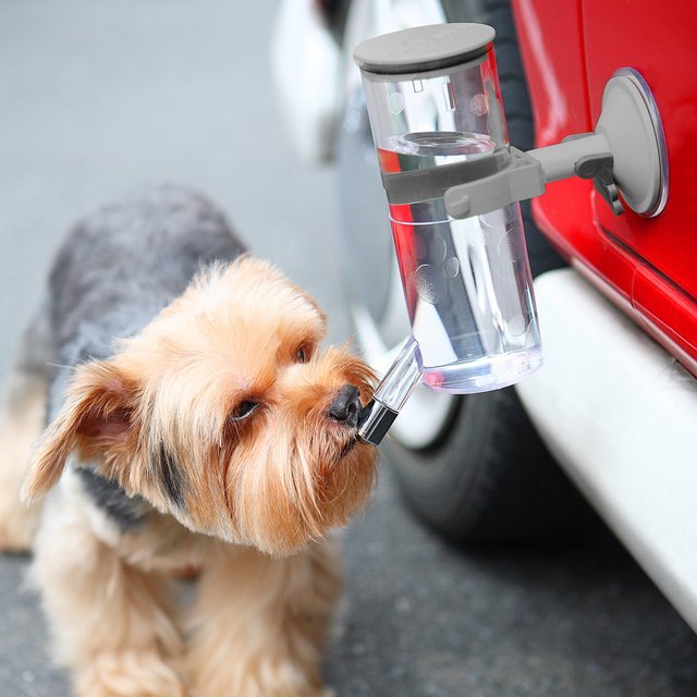 Attachadrink Water Dispenser