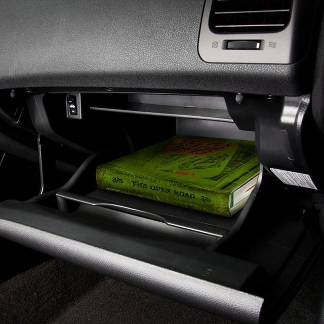 In-Car-Nito Secret Book Storage