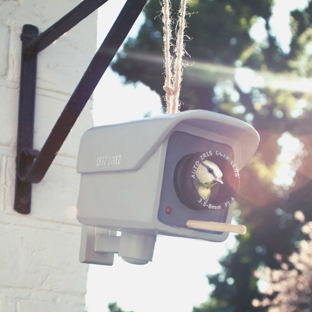 Security Camera Shaped Birdhouse & Birdfeeder