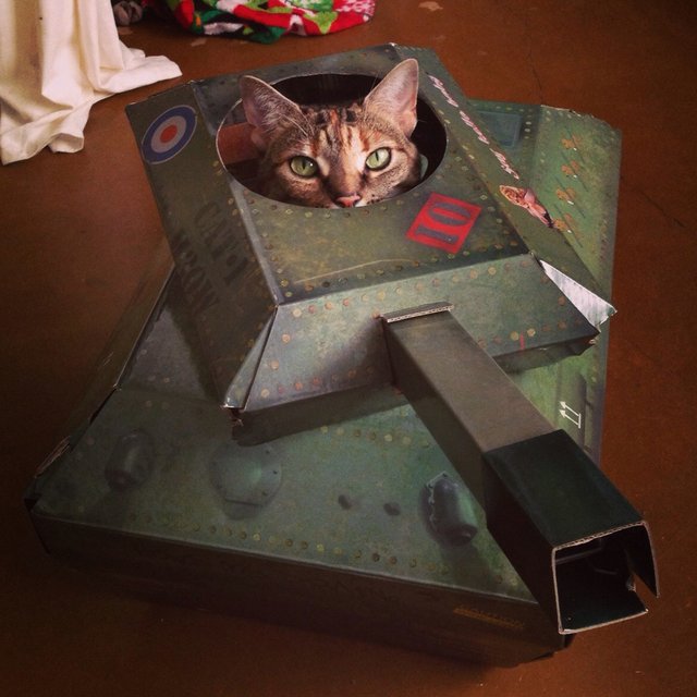 Tank Cat Playhouse