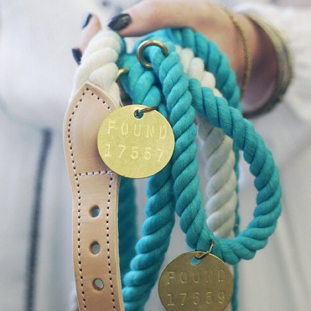 Teal Ombre Rope Dog Leash by Found My Animal