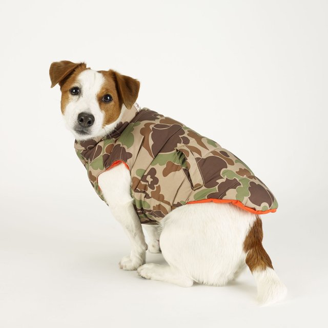 Camo Dog Down Vest by Ralph Lauren