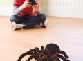 Remote Control Tarantula