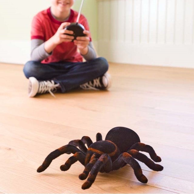 Remote Control Tarantula