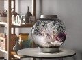 All-In-One Globe Aquarium