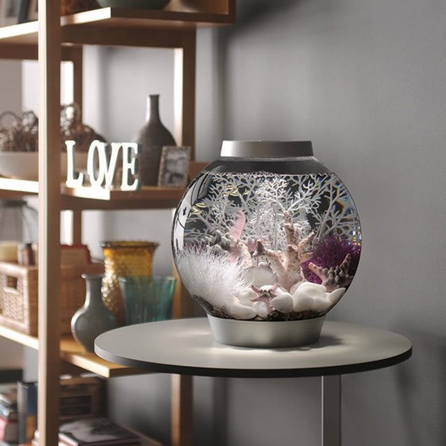 All-In-One Globe Aquarium