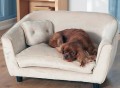 Astro Pet Bed by Enchanted Home