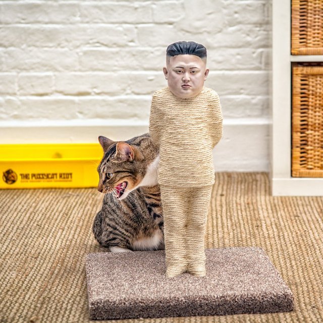 Kim Jong-un Cat Scratching Post