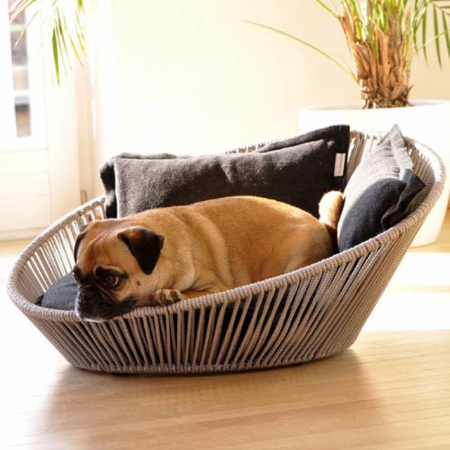 Siro Twist Dog Bed