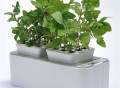 ZeroSoil Mini Indoor Garden